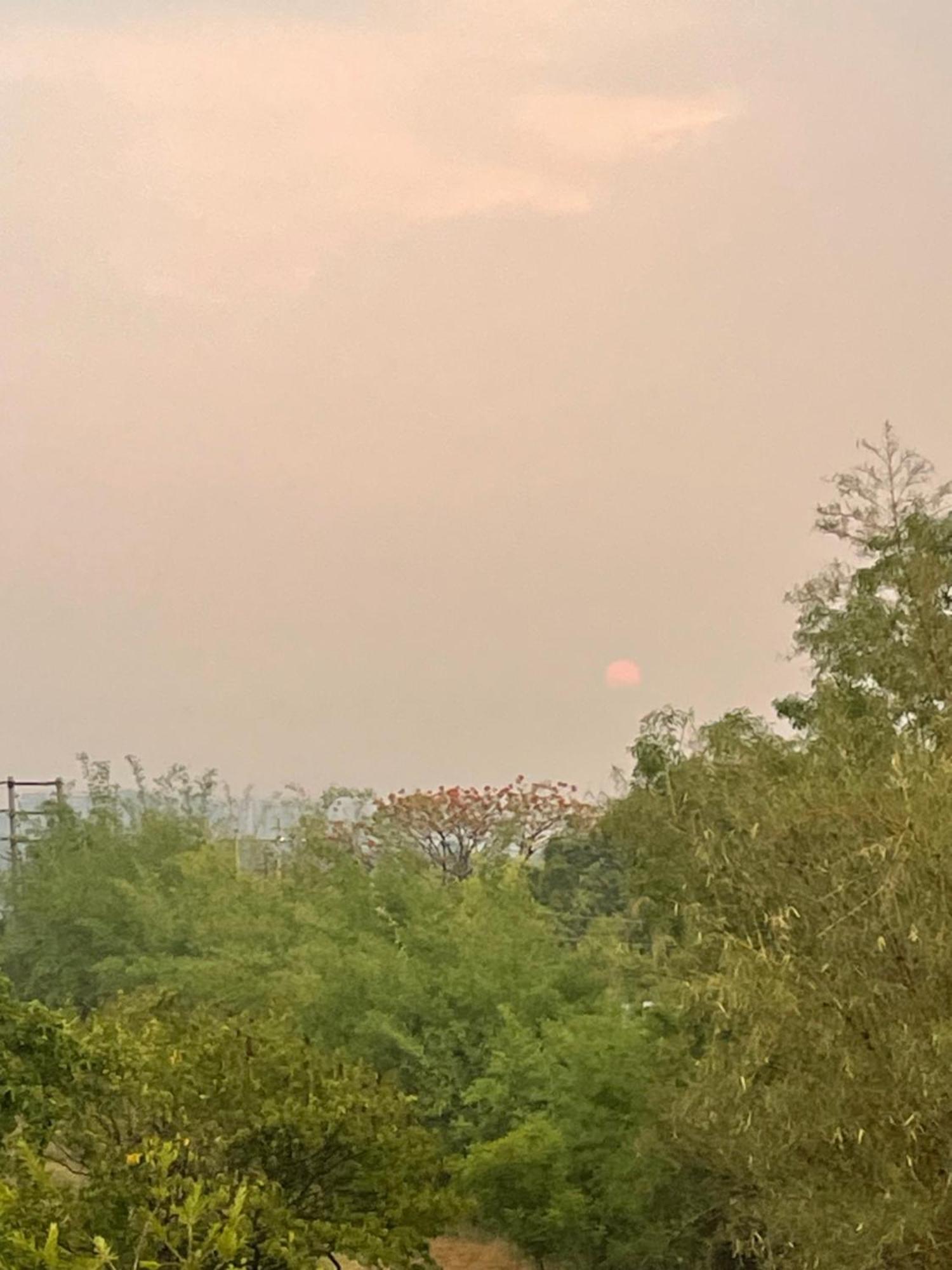 Samruddhi S1 Homestay Garden Villa Or S3 Nagpur Luaran gambar